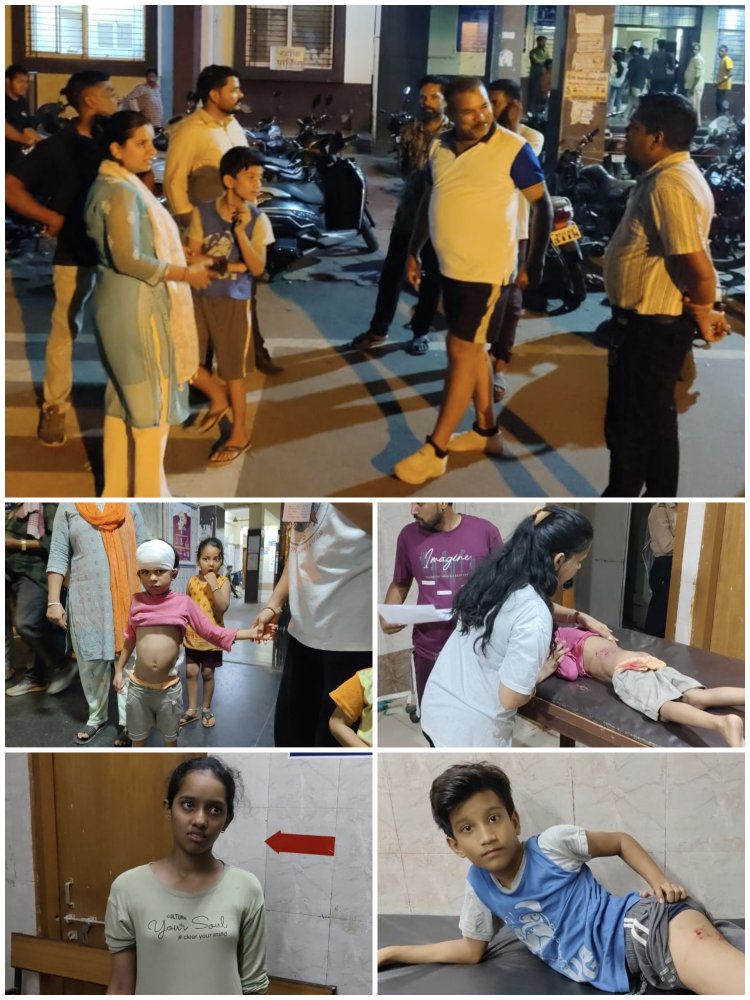 BIG BREAKING: ये क्या हो रहा नीमच में, घर के बाहर खेलते बच्चों पर इन्होंने डाली नजर, फिर झुंड बनाकर किया हमला, कई मासूम हुए जख्मी, तो परिजन लेकर पहुंचे जिला अस्पताल, अब रहवासियों में पनप रहा आक्रोश, पढ़े खबर 