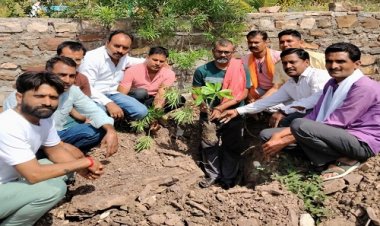 NEWS : विश्व पर्यावरण दिवस, रतनगढ़ में भाजपा कार्यकर्ताओं ने किया पौधारोपण, केंद्रीय एवं प्रदेश नेतृत्व के आव्हान पर किया अमल, पढ़े खबर