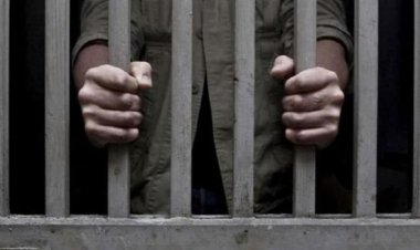 BIG NEWS : गौवंश का अवैध परिवहन मामला, नीमच का मोहम्मद खलीक और सद्दाम पहुंचे सलाखों के पीछे, न्यायालय ने सुनाई ये बड़ी सजा, आरोपियों को भुगतना होगा जुर्माना भी, पढ़े खबर