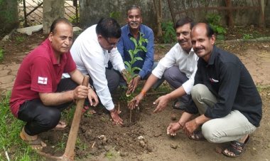 NEWS : श्री चमत्कारी बालाजी मंदिर परिसर को सुंदर बनाने का लक्ष्य, बगीचे में किया पौधारोपण, समिति के सदस्यों ने लिया सहेजने का संकल्प, पढ़े खबर