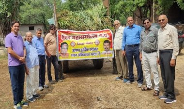 NEWS : नीमच जिला वैश्य महासम्मेलन ने मनाया सेवा दिवस, गौमाता को कराया भोजन, इन्होंने गौशाला में भेंट की सहयोग राशि, पढ़े खबर