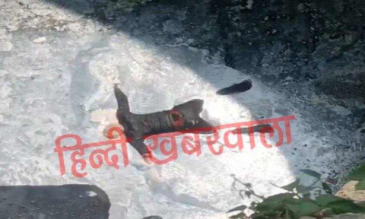 BIG NEWS : कुएं में मिली अज्ञात लाश की हुई शिनाख्त, मिथुन के रूप में हुई मृतक की पहचान, पीएम के बाद शव सौंपा परिजनों को, कनावटी गांव से जुड़े घटना के तार, पढ़े खबर