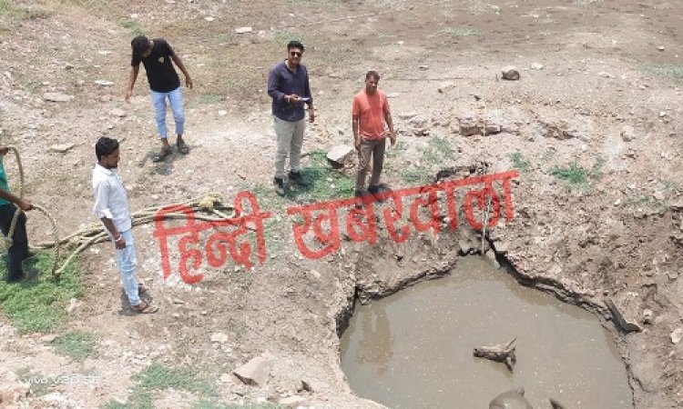 NEWS : वन विभाग की टीम ने दो गांवो में किया रेस्क्यू, कुछ यूं बचाई नीलगाय की जान, अब यहां के लिए दल हुआ रवाना, होगा बड़ा ऑपरेशन, पढ़े खबर