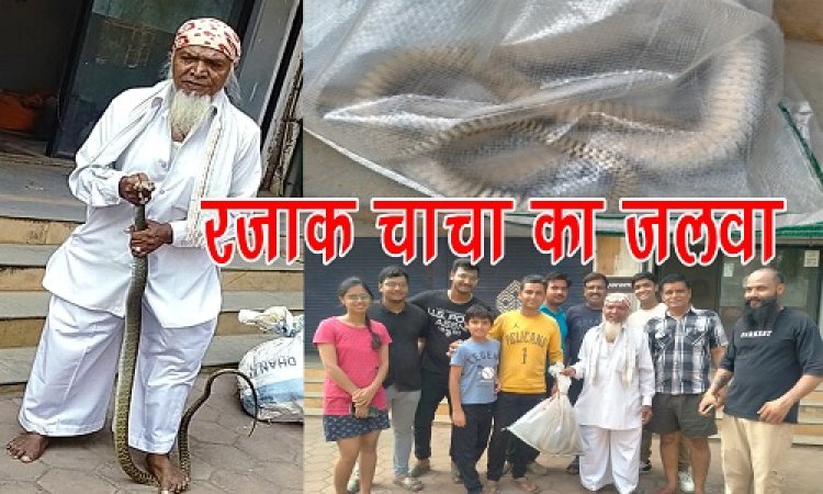 BIG NEWS : नीमच में यहां निकला आठ फीट लंबा सांप, क्षेत्रवासियों में मचा हड़कंप, फिर रजाक चाचा पहुंचे मौके पर, और दिखाया जलवा, स्नेक को पकड़ने के बाद जंगल में छोड़ा, पढ़े खबर