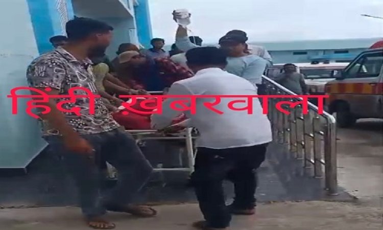 OMG ! खेत पर काम करती महिला, और अचानक हुआ ये हादसा, फिर बेसुध अवस्था में पहुंचाया मनासा के शासकीय अस्पताल, गंभीर हालत में जिला अस्पताल किया रेफर, पढ़े खबर