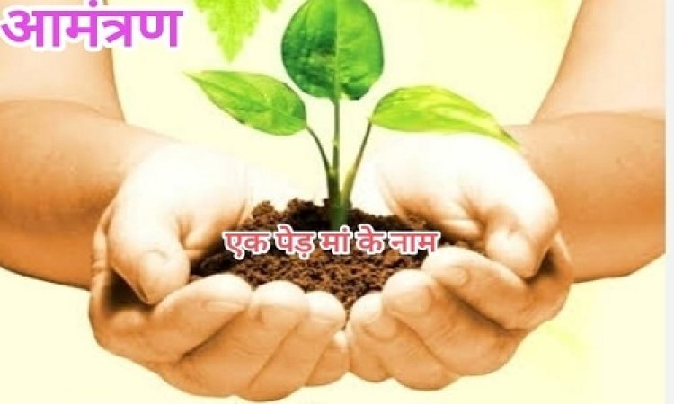 NEWS : नगर समस्या सुझाव ग्रुप रोपेगा 501 पौधे, "एक पेड़ मां के नाम" अभियान का आगाज, यहां आयोजित होगा भव्य कार्यक्रम, पढ़े खबर