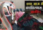 OMG ! गर्भवती महिला को सांप ने डसा, तो देवरे पर ले गए परिजन, हालत बिगड़ने पर इस अस्पताल में कराया भर्ती, क्या आज भी अंध विश्वास के भरोसे ग्रामीण...! ये घटना मनासा थाना क्षेत्र की, पढ़े खबर