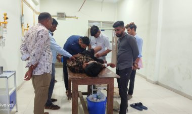 OMG ! राह चलते बालक को सांप ने डसा, उपचार के बाद मनासा से जिला अस्पताल रैफर, फिलहाल खतरा टला, घटना मनासा के खेमपुरा गांव की, पढ़े खबर