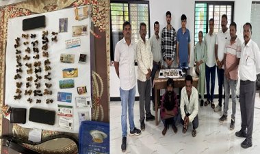 BIG NEWS : मंदसौर जिले में वन विभाग की बड़ी कार्यवाही, मॉनिटर लिजार्ड के अंगों की तस्करी का पर्दाफाश, तीन आरोपियों को किया गिरफ्तार, गोह के 42 नग हत्था जोडी, एक चाकू और नगदी भी जप्त, पढ़े खबर