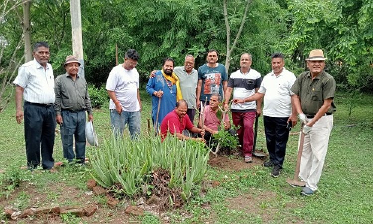 NEWS : जिला पंचायत परिसर पहुंचे स्वच्छता मित्र, घंटों तक किया श्रमदान, गाजर घांस से मिली मुक्ति, अब निखर गई वाटिका, पढ़े खबर