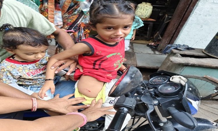 BIG NEWS : घर के बाहर खेल रहें बच्चों को इन्होंने घेरा, झुंड बनाकर एक साथ किया हमला, तीन मासूम हुए जख्मी, तो परिजन लेकर पहुंचे मनासा के शासकीय अस्पताल, रहवासियों में आक्रोश, पढ़े खबर