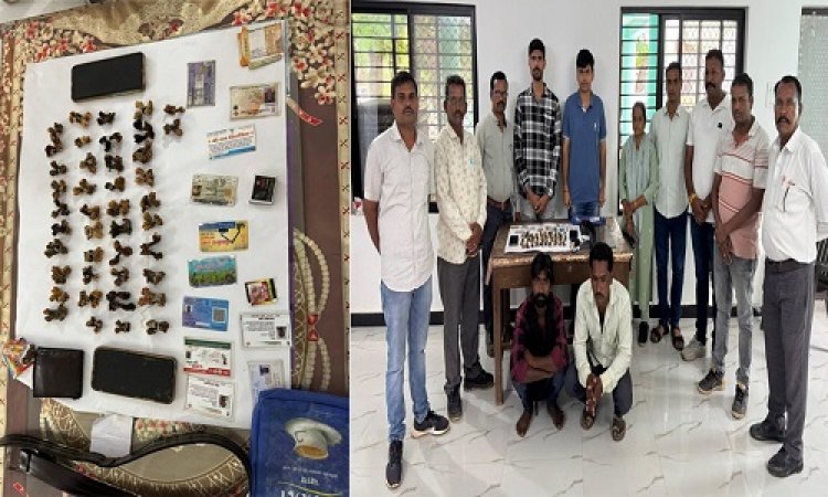BIG NEWS : मंदसौर जिले में वन विभाग की बड़ी कार्यवाही, मॉनिटर लिजार्ड के अंगों की तस्करी का पर्दाफाश, तीन आरोपियों को किया गिरफ्तार, गोह के 42 नग हत्था जोडी, एक चाकू और नगदी भी जप्त, पढ़े खबर