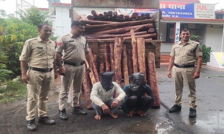 BIG NEWS : पुष्पा फिल्म की तर्ज पर लाल चंदन की तस्करी, पिपलियामंडी पुलिस ने जप्त की 22 क्विंटल लकड़ी, गिरफ्तार दो आरोपियों को भेजा जेल, मदसौर के राजेन्द्र की तलाश जारी, क्या बोले थाना प्रभारी, पढ़े खबर