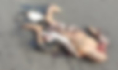 BIG NEWS : भरभड़िया फंटे के पास हादसा, पैदल जा रहे व्यक्ति को अज्ञात वाहन ने मारी टक्कर, मौके पर हुई मौत, पहचान करने में जुटी पुलिस, अगर आपको है कोई जानकारी, तो इन नंबरों पर करें संपर्क, पढ़े खबर