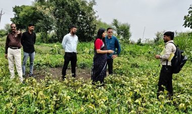 BIG NEWS : अतिवृष्टि से फसलों को पहुंचा नुकसान, अब अलर्ट मोड पर प्रशासन, इन गावों में पहुंची एसडीएम किरण आंजना, सर्वे कार्य का लिया जायजा, पढ़े खबर