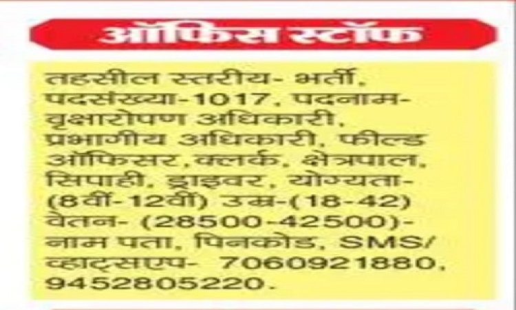 BIG NEWS : बेरोजगार हो जाएं सावधान, निकाली जा रही फर्जी भर्ती, युवा हो रहे धोखाधड़ी का शिकार, ताजा मामला वन विभाग के नाम से जुड़ा, पढ़े खबर