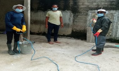 BIG NEWS : नीमच जिले में 81 हजार से ज्यादा बुखार पड़ित, फिर मलेरिया की जांच, अब इन क्षेत्रों में पहुंच रही  टीम, द्वितीय चरण का स्प्रे कार्य शुरू, पढ़े खबर