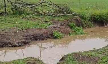 BIG NEWS : चपलाना गांव के पास गड्ढे में दिखा मगरमच्छ, तो ग्रामीणों में फैली दहशत, फिर वन विभाग की टीम पहुंची मौके पर, लेकिन रेस्क्यू हो गया असफल, क्या है वजह, पढ़े खबर