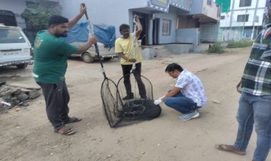 BIG NEWS : नीमच नगर पालिका ने शुरू किया रेबीज मुक्त अभियान, स्वानों को लगाई जा रही वैक्सीन, ये है उद्देश्य, पढ़े खबर