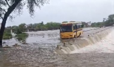 OMG ! नदी-नालें उफान पर, और जान जोखिम में डाल रहा चालक, बहते पानी से निकाली स्कूल बस, पुलियां को यूं किया पार, वायरल वीडियों सिंगोली क्षेत्र का, क्लिक करें और देखें