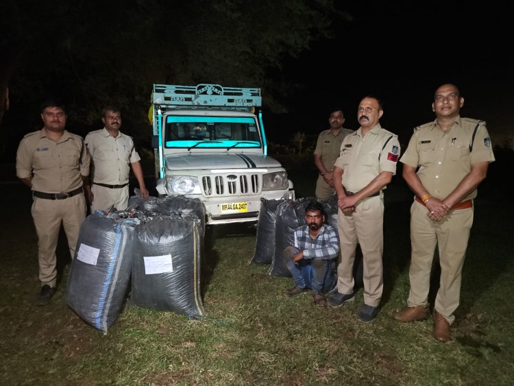 BIG NEWS : नशा तस्करी के खिलाफ रतनगढ़ पुलिस का बड़ा एक्शन, पिकअप से डोडाचूरा की खैप जप्त, कुख्यात आरोपी राकेश गिरफ्तार, पढ़े खबर