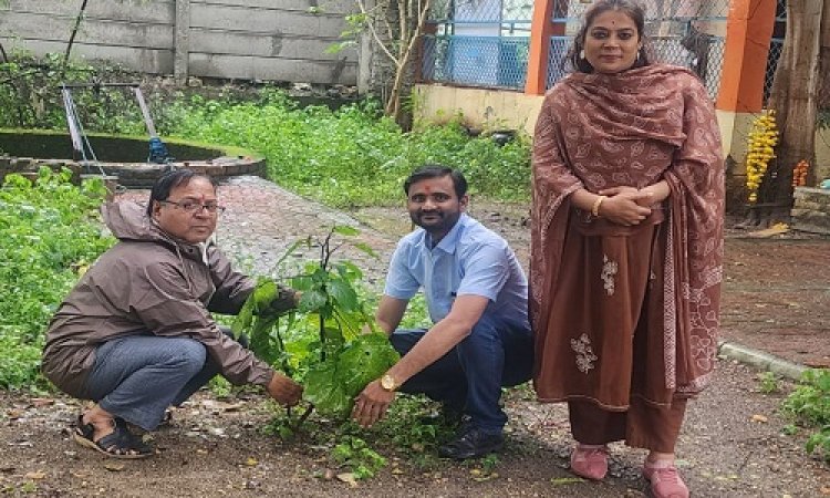 NEWS : अनंत चतुदर्शी, बाल कल्याण समिति ने नीमच के इस क्षेत्र में किया पौधारोपण, सहेजने का लिया संकल्प, पढ़े खबर