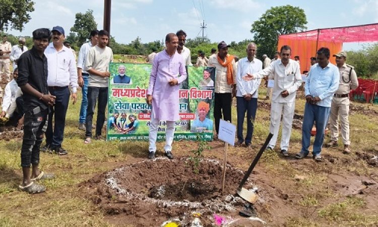 NEWS : रतनगढ़ में वन विभाग ने किया खास कार्यक्रम का आयोजन, विधायक सखलेचा सहित ये हुए शामिल, पौधरोपण कर दिया बड़ा संदेश, पढ़े खबर