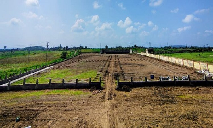 NEWS : एक पेड़ मां के नाम अभियान, पर्यावरण संरक्षण को लेकर नगर परिषद की अनूठी पहल, 1100 पौधों का होगा रोपण, पिपलियामंडी में आयोजित इस कार्यक्रम से होगी शुरुआत, पढ़े खबर