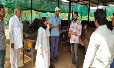 NEWS : दुग्‍ध समृद्धि अभियान, आत्‍मनिर्भर बन रहे जिले के पशुपालक, लक्ष्‍मी धाकड़ प्रतिमाह कमा रही एक लाख से ज्यादा, पढ़े सफलता की कहानी