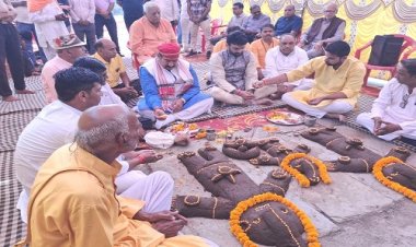 NEWS : भाटखेड़ा गौशाला में जिला स्तरीय गोवर्धन पूजा संपन्न, विधायक परिहार बोले- गोवर्धन पूजा हमारी प्राचीन परंपरा का उत्सव, पढ़े खबर