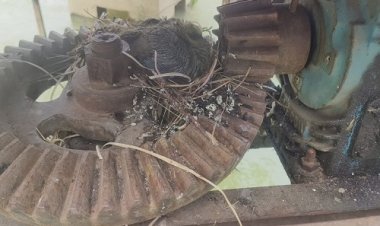 BIG NEWS : चौकाने वाला खुलासा, आरटीआई के जाल में उलझी जिम्मेदारों की लापरवाही, प्लांट के चैंम्बर के नीचें मिले अंडे और गंदगी के ढेर, सिस्टम की मोटर पड़ी बंद, क्या फिर भी शहर में सप्लाय हो रहा पेयजल, पढ़े खबर