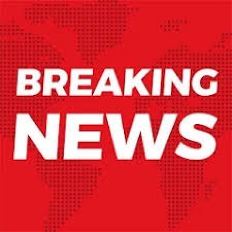 BREAKING NEWS- डोडाचूरा तस्करी मामले में राजस्थान के घनश्याम को 12 साल का सश्रम कारावास और हुआ 1.5 लाख का ज़ुर्माना,पढ़े खबर