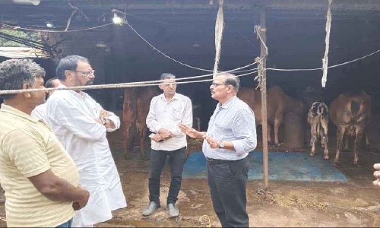 NEWS : दुग्ध समृद्धि सम्पर्क अभियान, मनासा विधायक मारू ने पशुपालन कार्य का लिया जायजा, राजू से की चर्चा, और विधियों की ली जानकारी, पढ़े खबर