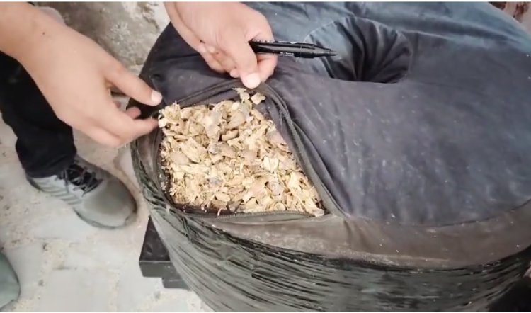 BIG NEWS : पिकअप में वायरिंग के रोल, कुछ यूं छुपाया अवैध नशा, सूचना मिलते ही डीएनसी कार्यालय की टीम ने पकड़ा, राजसमंद-उदयपुर रोड़ पर की बड़ी कार्यवाही, अवैध मादक पदार्थ सहित दो आरोपी गिरफ्तार, पढ़े खबर