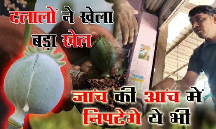 EXCLUSIVE : नीमच जिले में अफीम पट्टो के नाम पर बड़ी धांधली, दलाल बालकिशन, नंदलाल और गणेश ने ऐसे खेला खेल, कि सब हो गए फेल, बड़े फर्जीवाड़े की गूंज दिल्ली तक, अब जांच की आंच में निपटेंगे ये भी, हम करने जा रहे बड़ा खुलासा, पढ़े ये खास खबर