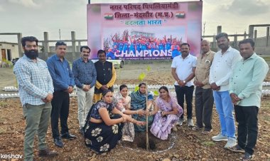 BIG NEWS : भारतीय महिला क्रिकेट टीम की वर्ल्ड कप में ऐतिहासिक जीत, पिपलियामंडी में किया पौधारोपण, क्या बोली नगर परिषद अध्यक्ष, पढ़े खबर