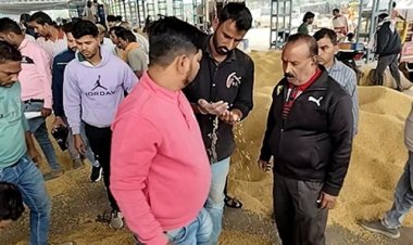 BIG NEWS : भावांतर भुगतान, नीमच जिले के किसानों को मिल रहा योजना का लाभ, सैकड़ों अन्नदाताओं ने विक्रय की 11 हजार 183 क्विंटल से ज्यादा सोयाबीन, चेहरे पर यूं दिख रही खुशी, पढ़े खबर