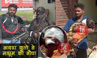 OMG ! घर में खेलती मासूम को आवारा कुत्ते ने बनाया निशाना, मुहं में दबाकर दूर तक घसीटा, फिर नौचने में लगा, रहवासियों ने ऐसे बचाई अलशिफा की जान, लोगों में पनप रहा आक्रोश, घटना नीमच की इस कॉलोनी की, पढ़े खबर