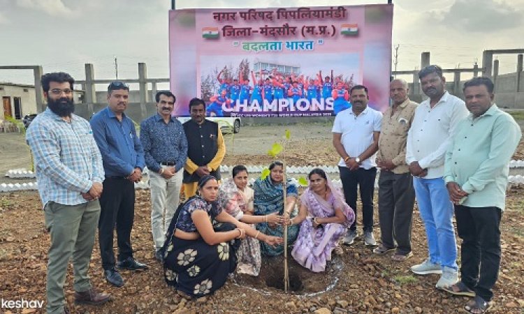 BIG NEWS : भारतीय महिला क्रिकेट टीम की वर्ल्ड कप में ऐतिहासिक जीत, पिपलियामंडी में किया पौधारोपण, क्या बोली नगर परिषद अध्यक्ष, पढ़े खबर