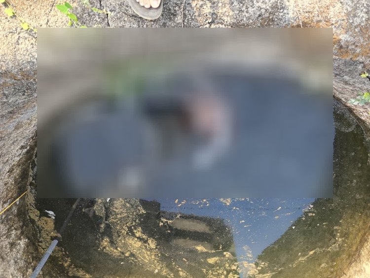 BIG NEWS : गांव के पास कुएं में मिली लापता व्यक्ति की लाश, पत्थर से बंधे हाथ-पैर, परिजनों ने जताई हत्या की आशंका, मामला गांव सांडिया का, मनासा पुलिस जुटी जांच में, पढ़े खबर