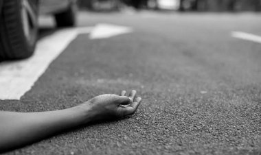 BIG NEWS : मालखेड़ा चौराहा के पास हादसा, चलते वाहन से नीचे गिरा युवक, तो हो गई हालत गंभीर, फिर जिला अस्पताल में कराया भर्ती, पर उपचार के दौरान हुई मौत, नीमच सिटी पुलिस जुटी जांच में, पढ़े खबर