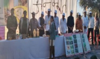 NEWS : वनमंडल नीमच के अंतर्गत आने वाले परिक्षेत्र रतनगढ़ में द्वितीय अनुभूति शिविर का हुआ भव्य आयोजन, पढ़े खबर