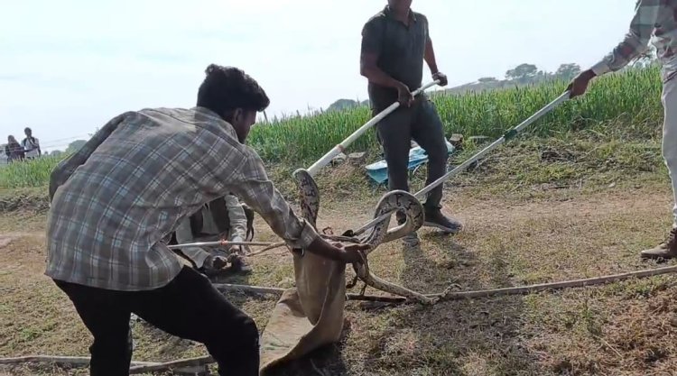 NEWS : गुजरत में दिखा अजगर, तो गांव में फैली दहशत, सूचना मिलते ही वन विभाग की टीम पहुंची मौके पर, और किया रेस्क्यू, पढ़े खबर