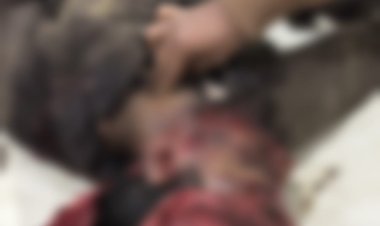 NEWS : परदा मार्ग पर बाइक हादसा, खेत की मेड से टकराया सोनू, मौके पर हुई मौत, पढ़े खबर