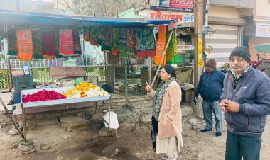 NEWS : सीएमओ बामनिया ने सफाई व्यवस्था का कीया निरीक्षण, पानी की शुद्धता भी जांची  कीटनाशक छिड़काव करने व अनुपस्थित कर्मचारियों का वेतन काटने के दिए निर्देश, पढ़े खबर