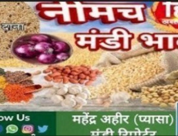 NEEMUCH MANDI: नीमच मंडी मे किस जींस के रहे भाव तेज किसमे आई गिरावट, देखे महेंद्र अहीर ( प्यासा) की इस रिपोर्ट मे