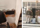 BIG NEWS : दीवार में किया छेद, और दूकान में की चोरी, शिकायत के बाद हरकत में आई कैंट पुलिस, अब वारदात का पर्दाफाश, आरोपी दीपक गिरफ्तार, घटना महाराणा बंगला क्षेत्र की, पढ़े खबर