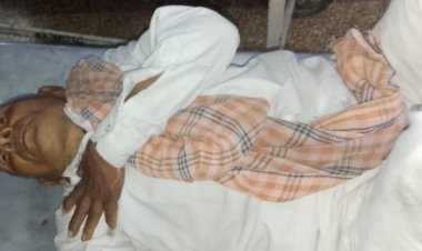 NEWS: पिपलियामंडी में रफ्तार का कहर: अज्ञात ट्रक ने बाइक को मारी टक्कर, महिला सहित तीन गंभीर घायल, पढ़े खबर