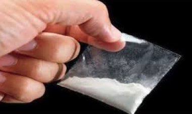 BIG NEWS: ड्रग्स कांड में फरार तस्कर-पैडलरों पर नारकोटिक्स विंग इंदौर ने किया इनाम घोषित, इन राज्यों के 16 आरोपी सहित नीमच-मंदसौर के भी लिस्ट मे शामिल,पुलिस की तलाश हुई तेज,सुचना देने वालों की पहचान रहेगी गुप्त,पढ़े खबर