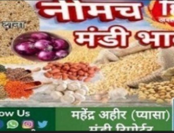 NEEMUCH MANDI: नीमच मंडी मे आज सोयाबीन एवं जो तेज, रायड़ा नरम, किस जींस मे आई तेजी, किसमे रही गिरावट, देखे महेंद्र अहीर ( प्यासा ) की ये रिपोर्ट